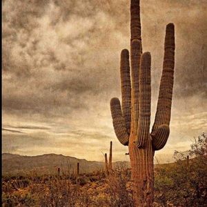 Meet your Posher, Maddy